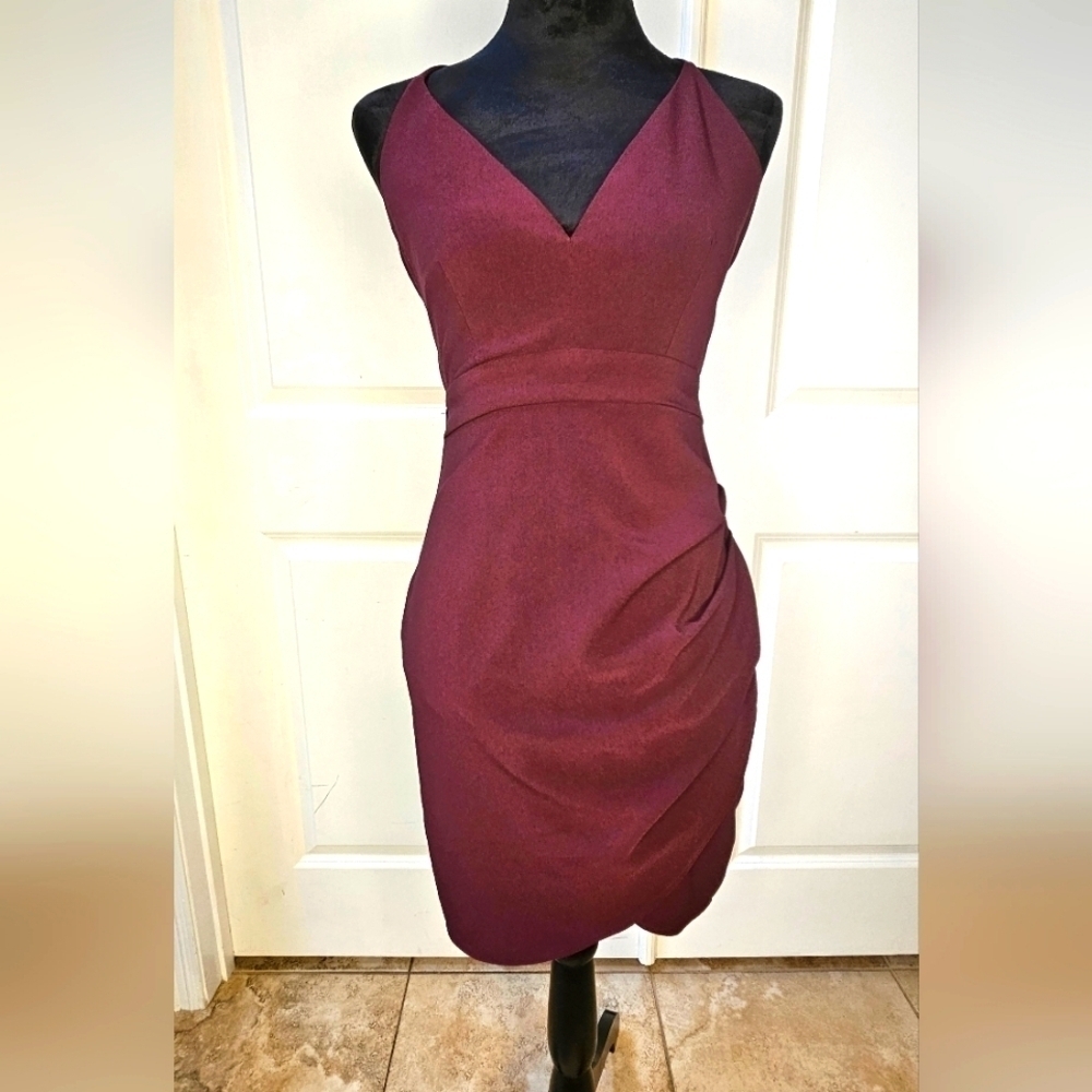 Sleeveless Burgandy Dress